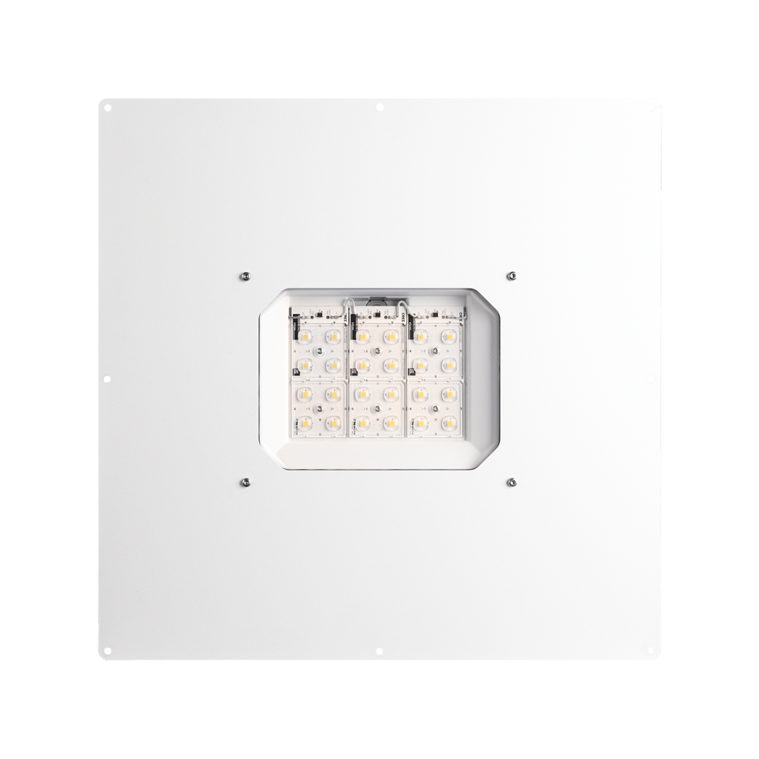 DOT. FUEL Petroleum 60 degrees 12L 5700K Standard Ra70