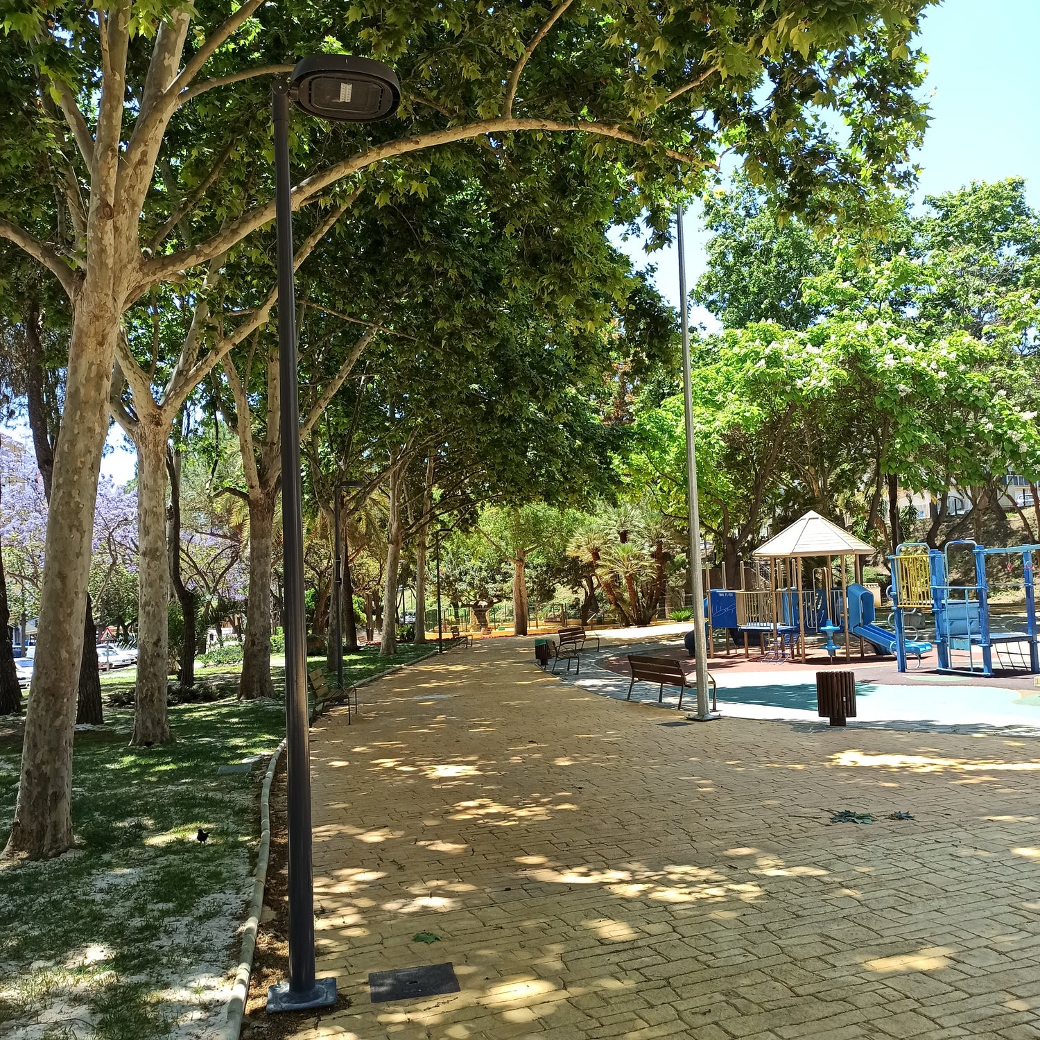 CENTURY VERTICAL FIXATION (PT)