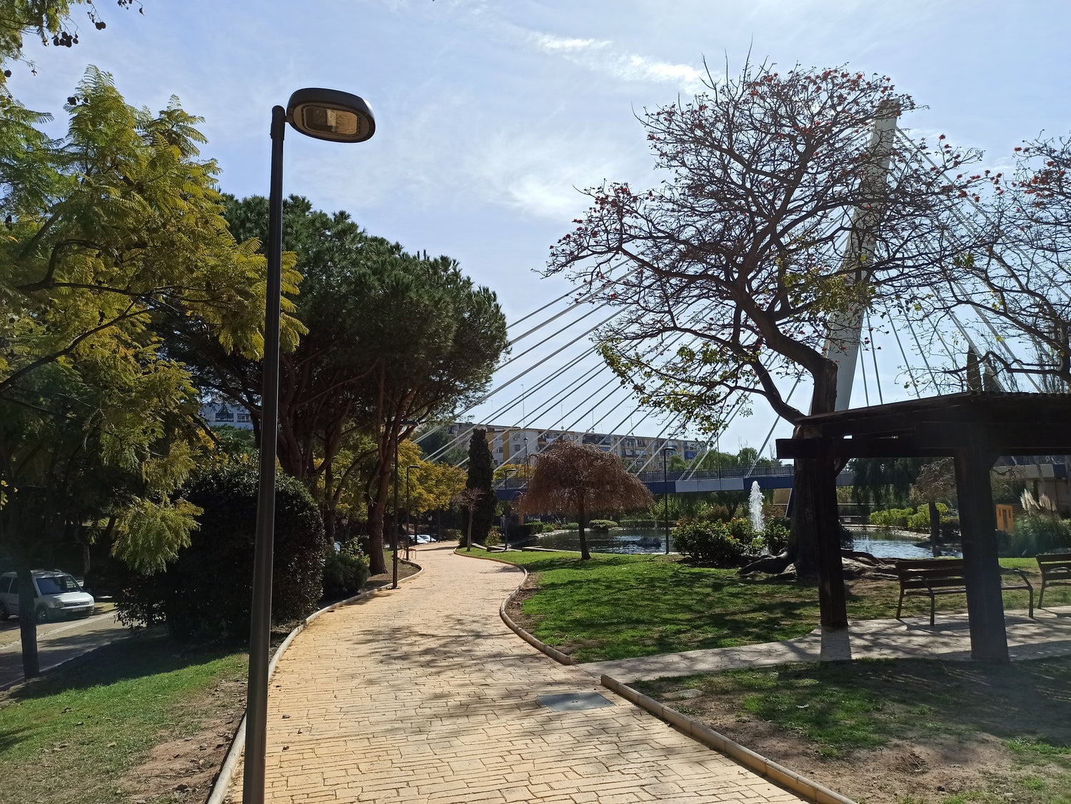 CENTURY VERTICAL FIXATION (PT)